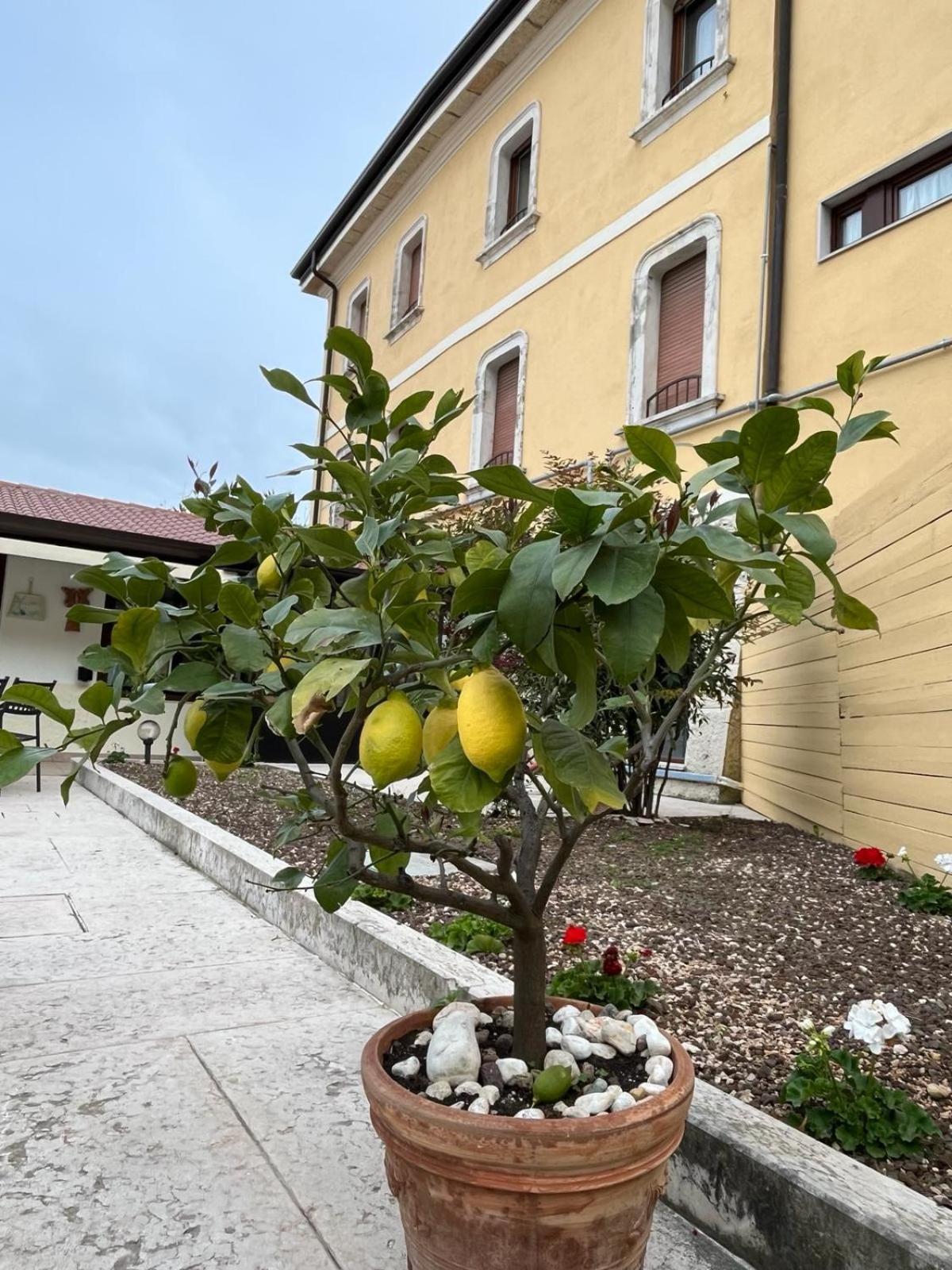 Locanda Moscal Affi Εξωτερικό φωτογραφία