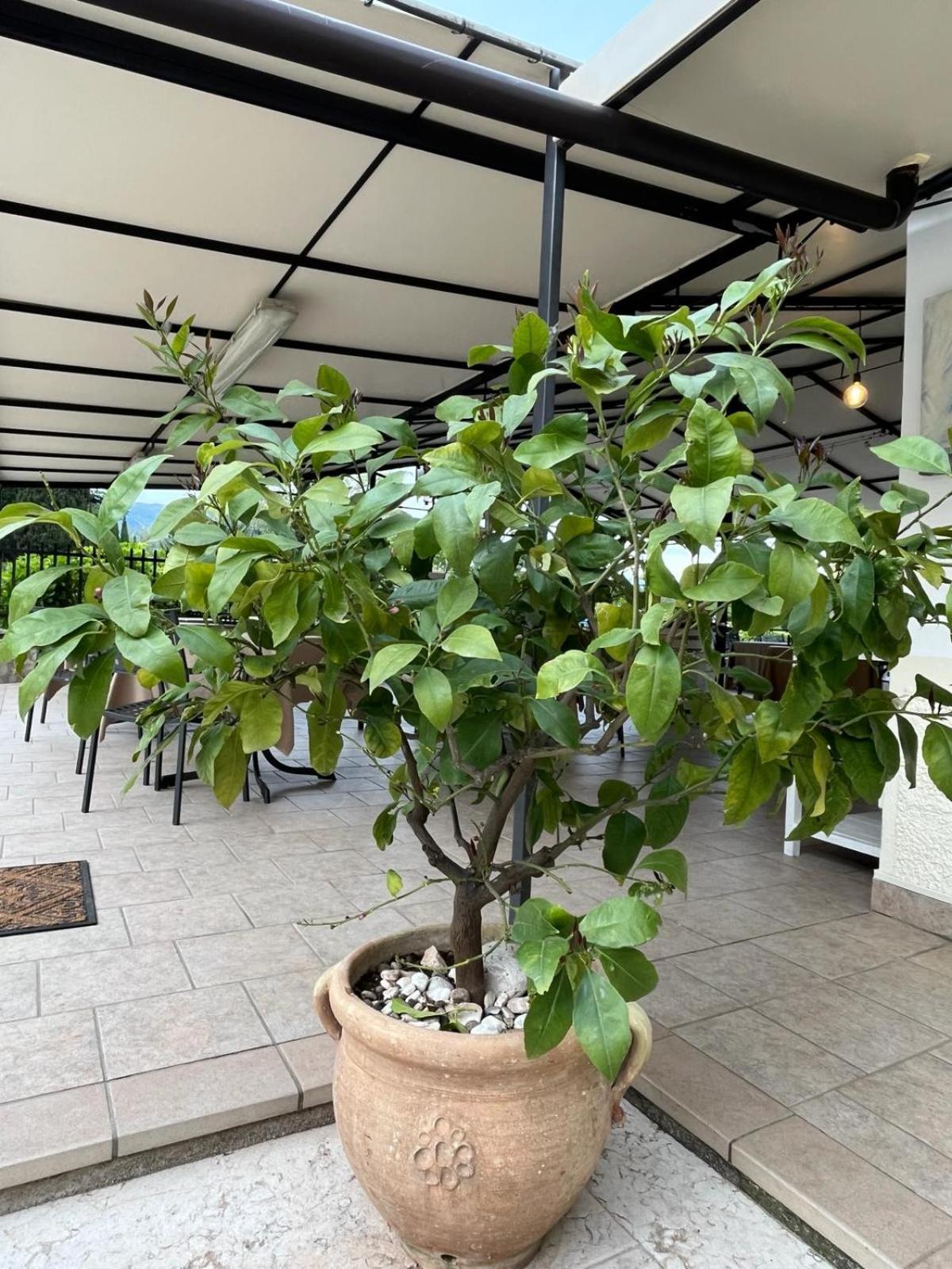 Locanda Moscal Affi Εξωτερικό φωτογραφία